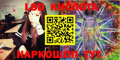 мяу мяу мука Новозыбков