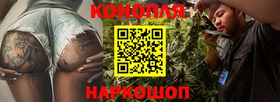 соль ск Новодвинск