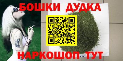 соль ск Новодвинск