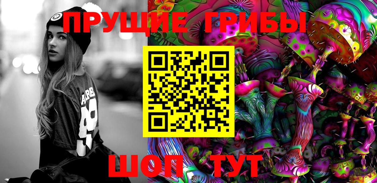 Псилоцибиновые грибы Psilocybine cubensis Ногинск