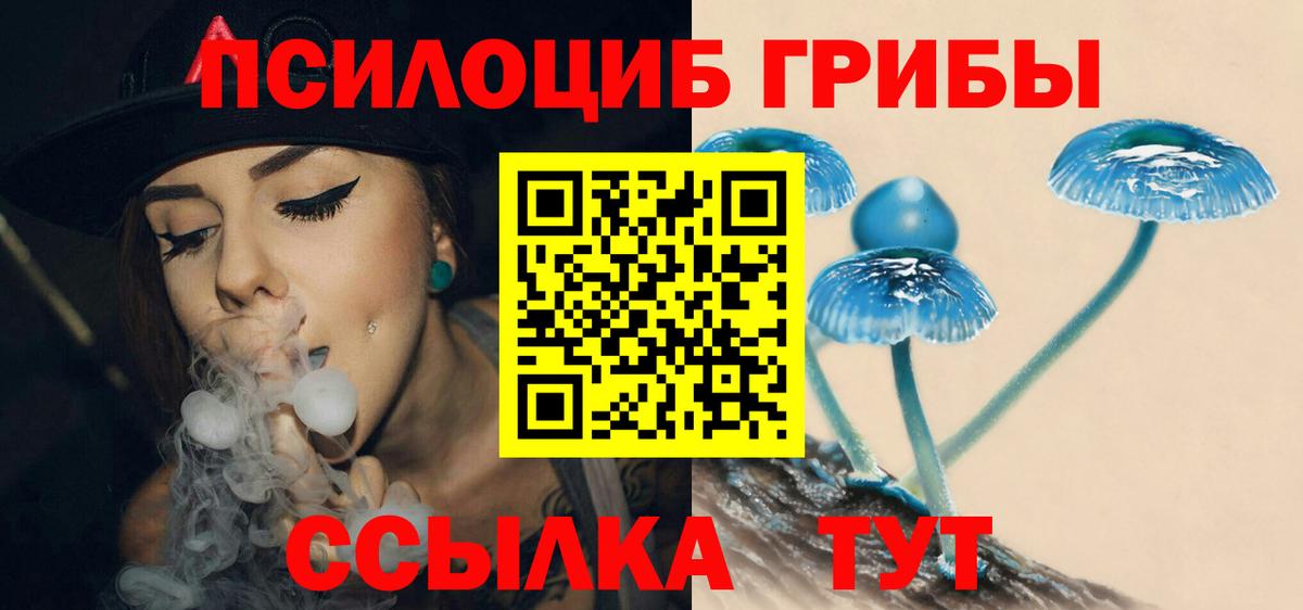 Псилоцибиновые грибы Psilocybine cubensis  Псилоцибиновые грибы ЛСД  купить  сайты  Ногинск  Вход с VPN 